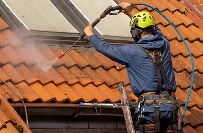 Démoussage et hydrofuge de toiture à Barry
